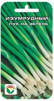 Лук на зелень Изумрудный (сс) 1,0гр Лук на зелень Изумрудный (сс) 1,0гр