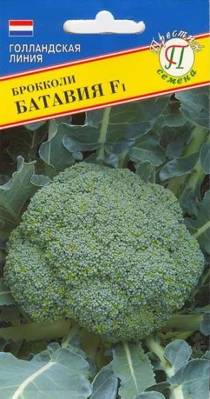 Капуста брокколи Батавия F1 (престиж) 10 шт (bejo)  – купить в г. Волгоград