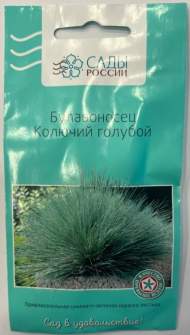 Булавоносец Колючий голубой (сады России) 3шт Булавоносец Колючий голубой (сады России) 3шт