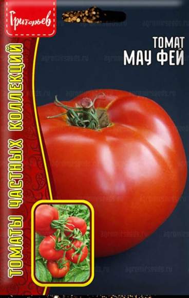 Томат Мау Фей (Григорьев) 10 шт – купить в г. Волгоград Томат Мау Фей (Григорьев) 10 шт – купить в г. Волгоград