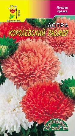Астра Королевский размер смесь (цветущий сад) 0,1 гр  – купить в г. Волгоград