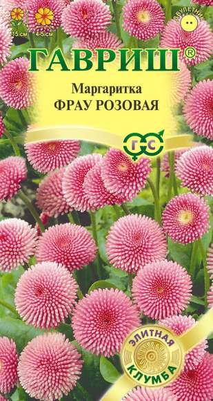 Маргаритка Фрау розовая (гавриш) 4шт  – купить в г. Волгоград