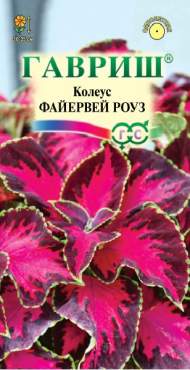 Колеус Файервей роуз (гавриш) 4 шт Колеус Файервей роуз (гавриш) 4 шт
