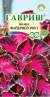 Колеус Файервей роуз (гавриш) 4 шт  – купить в г. Волгоград