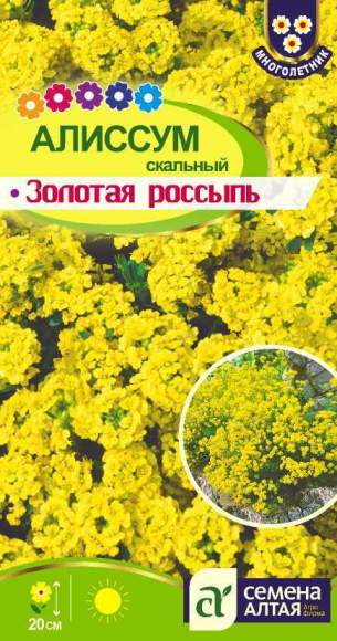 Алиссум Золотая россыпь (семена Алтая) 0,1гр многолетник  – купить в г. Волгоград
