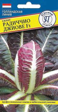 Салат кочанный Радиччио Джиове F1 (престиж) 5 шт