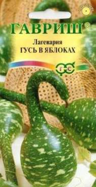Лагенария Гусь в яблоках (гавриш) 5 шт Лагенария Гусь в яблоках (гавриш) 5 шт