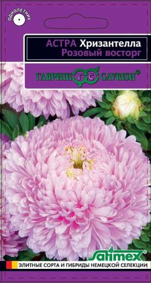 Астра Розовый восторг (Хризантелла) (г) 0,05гр  – купить в г. Волгоград
