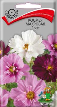 Космея махровая Психе (поиск) 0,2гр