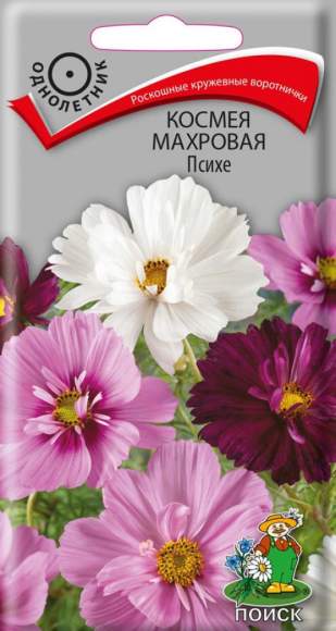 Космея махровая Психе (поиск) 0,2гр  – купить в г. Волгоград