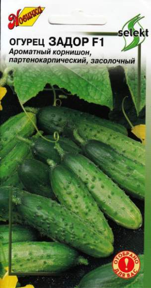 Огурец Задор F1 (дом семян) 10 шт  – купить в г. Волгоград