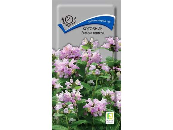 Котовник Розовая пантера (поиск) 10шт – купить в г. Волгоград Котовник Розовая пантера (поиск) 10шт – купить в г. Волгоград