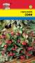Гаультерия Софи (урожай удачи) 5 шт  – купить в г. Волгоград