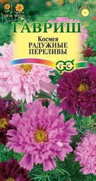 Космея Радужные переливы (гавриш) 0,1 гр