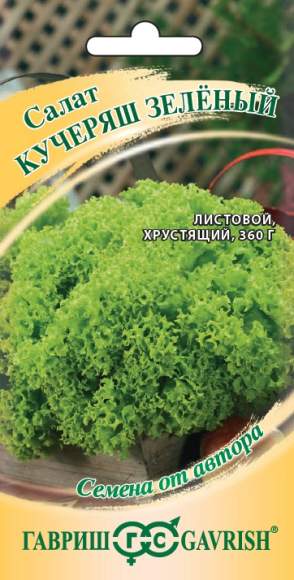 Салат листовой Кучеряш зеленый (гавриш) 0,5 гр Салат листовой Кучеряш зеленый (гавриш) 0,5 гр