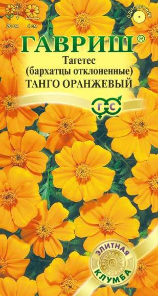 Бархатцы Танго оранжевый (гавриш) 7 шт  – купить в г. Волгоград