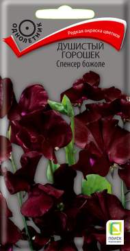 Душистый горошек Спенсер божоле (поиск) 1,0 гр Душистый горошек Спенсер божоле (поиск) 1,0 гр