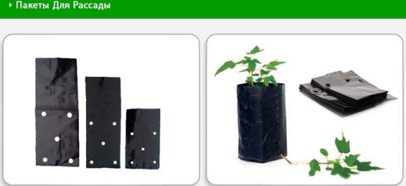 Пакет для рассады 1,0л (8х8х20) 10 шт – купить в г. Волгоград Пакет для рассады 1,0л (8х8х20) 10 шт – купить в г. Волгоград