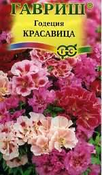 Годеция Красавица (гавриш) 0,1гр – купить в г. Волгоград Годеция Красавица (гавриш) 0,1гр – купить в г. Волгоград