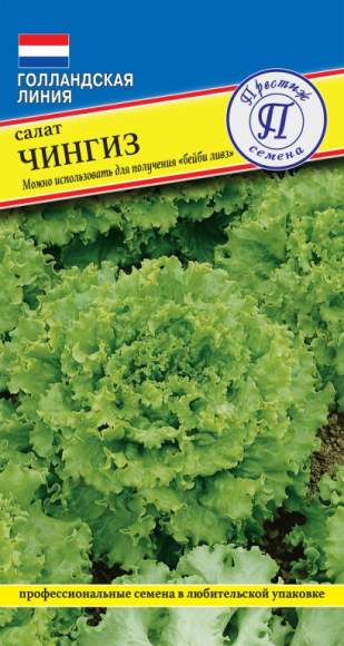 Салат листовой Чингиз (престиж) 10 шт  – купить в г. Волгоград
