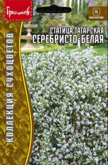 Статица татарская Серебристо-белая (кермек) (Григорьев) 10 шт  – купить в г. Волгоград