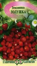 Земляника Золушка (гавриш) 0,03гр – купить в г. Волгоград Земляника Золушка (гавриш) 0,03гр – купить в г. Волгоград