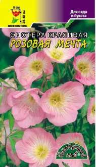 Энотера Розовая мечта (цветущий сад) 0,05гр