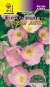 Энотера Розовая мечта (цветущий сад) 0,05гр  – купить в г. Волгоград