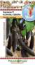 Баклажан Король севера F1 (нк) 35 шт  – купить в г. Волгоград