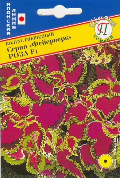 Колеус серия фейерверк Роза F1 (престиж) 10 шт – купить в г. Волгоград Колеус серия фейерверк Роза F1 (престиж) 10 шт – купить в г. Волгоград