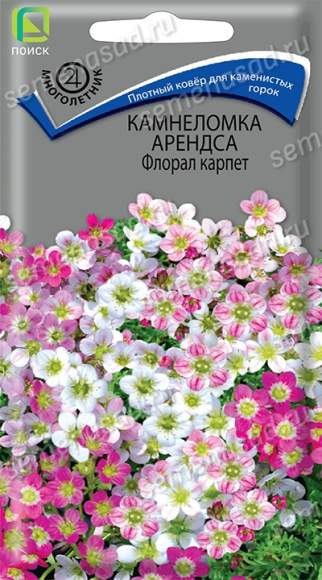 Камнеломка Арендса Флорал карпет (поиск) 0,01 гр   – купить в г. Волгоград