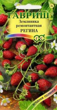 Земляника Регина (гавриш) 0,03 гр