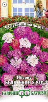 Иберис Кельтский узор (г) 0,1гр