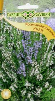 Иссоп Иней (гавриш) 0,2 гр Иссоп Иней (гавриш) 0,2 гр