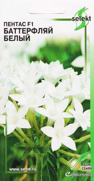 Пентас F1 Баттерфляй Белый (дом семян) 3 шт  – купить в г. Волгоград