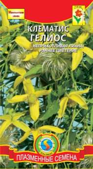 Клематис Гелиос (плазмас) 10 шт Клематис Гелиос (плазмас) 10 шт