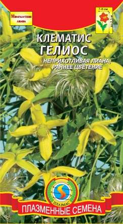 Клематис Гелиос (плазмас) 10 шт  – купить в г. Волгоград