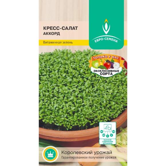 Кресс-салат Аккорд (евро семена) 1,0гр  – купить в г. Волгоград