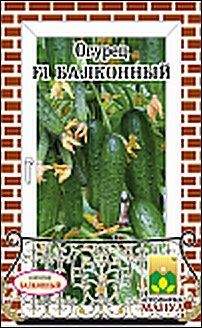 Огурец Балконный F1 (манул) 10шт  – купить в г. Волгоград