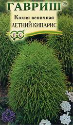 Кохия Летний кипарис (гавриш) 0,3 гр – купить в г. Волгоград Кохия Летний кипарис (гавриш) 0,3 гр – купить в г. Волгоград