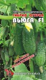 Огурец Вьюга F1 (биотехника) 8 шт – купить в г. Волгоград Огурец Вьюга F1 (биотехника) 8 шт – купить в г. Волгоград