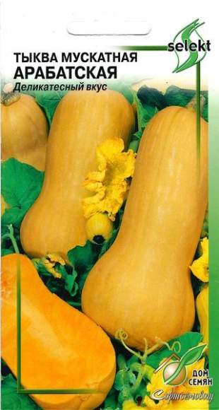Тыква мускатная Арабатская (дом семян) 10 шт  – купить в г. Волгоград