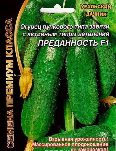 Огурец Преданность F1 (уд) 5шт Огурец Преданность F1 (уд) 5шт