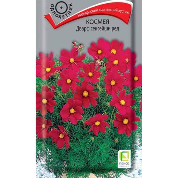 Космея Дварф сенсейшн ред (поиск) 0,2 гр  – купить в г. Волгоград