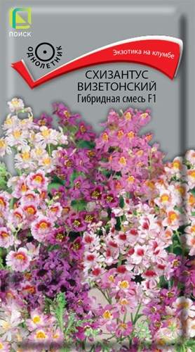 Схизантус Визетонский гибридная смесь F1 (поиск) 0,06гр  – купить в г. Волгоград
