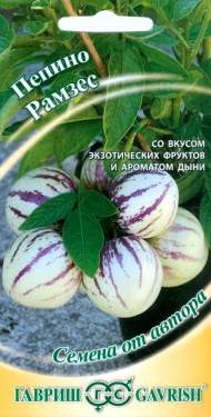 Пепино (дынная груша) Рамзес (гавриш) 5 шт Пепино (дынная груша) Рамзес (гавриш) 5 шт