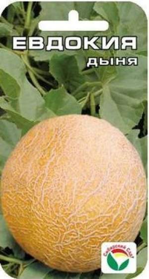 Дыня Евдокия (сибирский сад) 7 шт  – купить в г. Волгоград