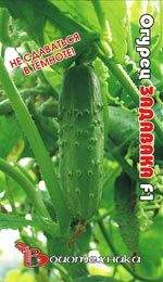 Огурец Задавака (б) 10шт