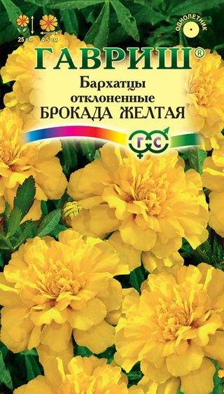 Бархатцы Брокада желтая (гавриш) 0,3 гр  – купить в г. Волгоград