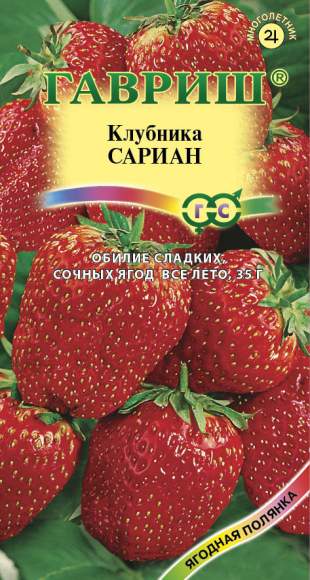 Клубника Сариан (гавриш) 4шт Клубника Сариан (гавриш) 4шт